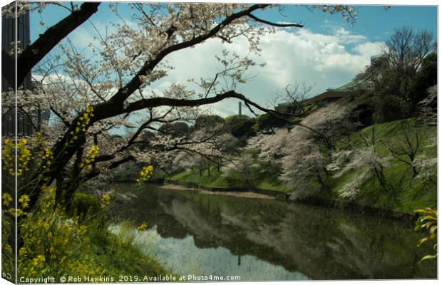 Tokyo Castle Sakura Canvas Print by Rob Hawkins