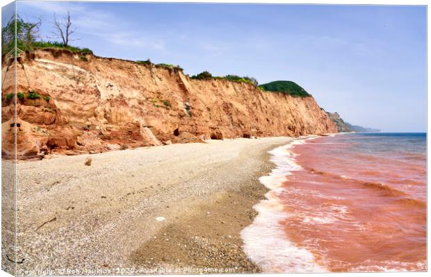 Red Sea of Sidmouth Canvas Print by Rob Hawkins