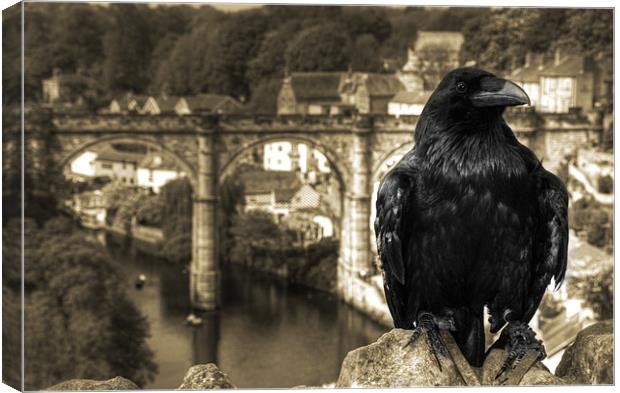 The Raven of Knaresborough Castle Canvas Print by Rob Hawkins