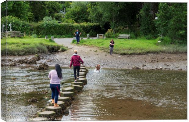 Lerryn Stepping Stones  Canvas Print by Rob Hawkins