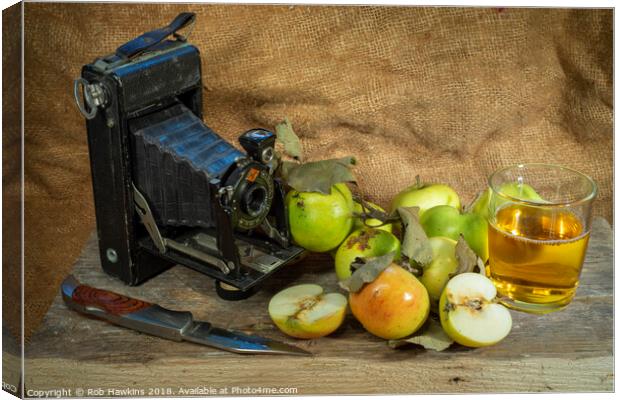 Agfa and the apples  Canvas Print by Rob Hawkins