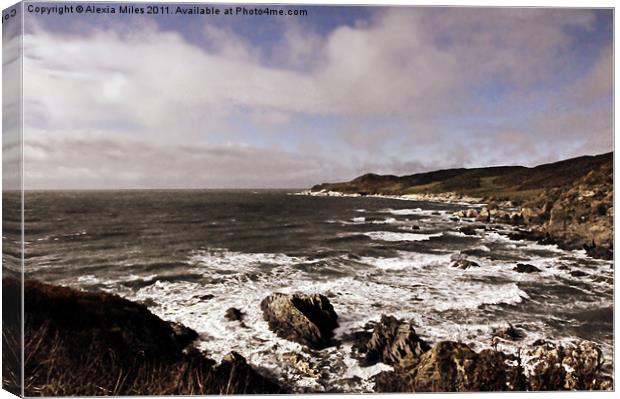 Mortehoe View Canvas Print by Alexia Miles
