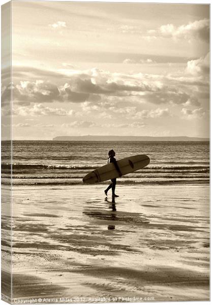 Time to Surf Canvas Print by Alexia Miles