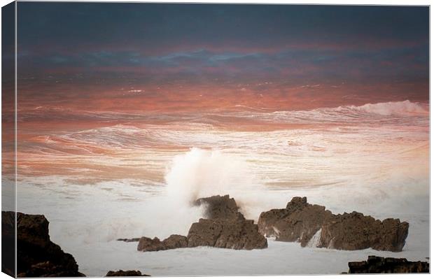 Passionate Waves Canvas Print by Alexia Miles