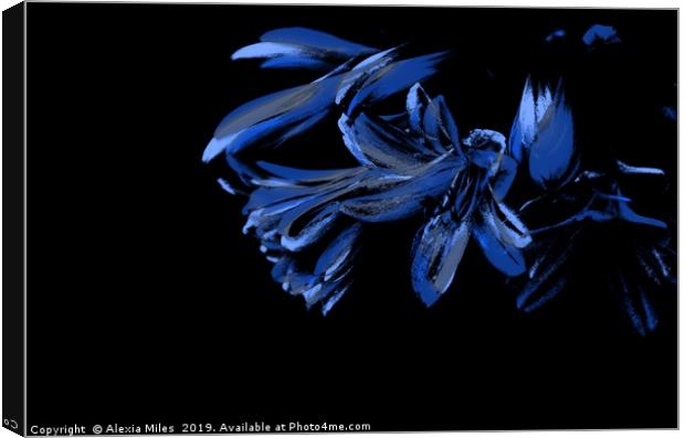 Black and Blue Canvas Print by Alexia Miles