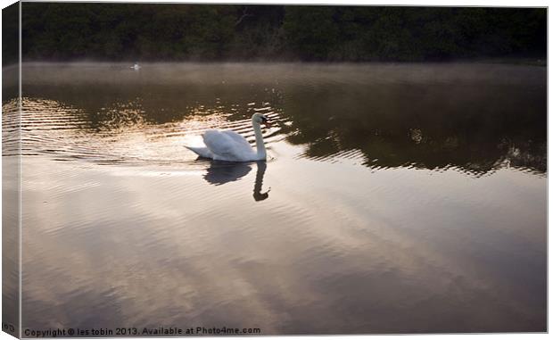 Early Morning Canvas Print by les tobin