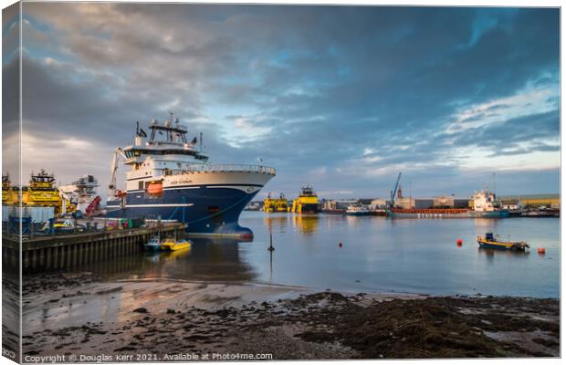 Deep Cygnus, Ferryden, Montrose Harbour Canvas Print by Douglas Kerr