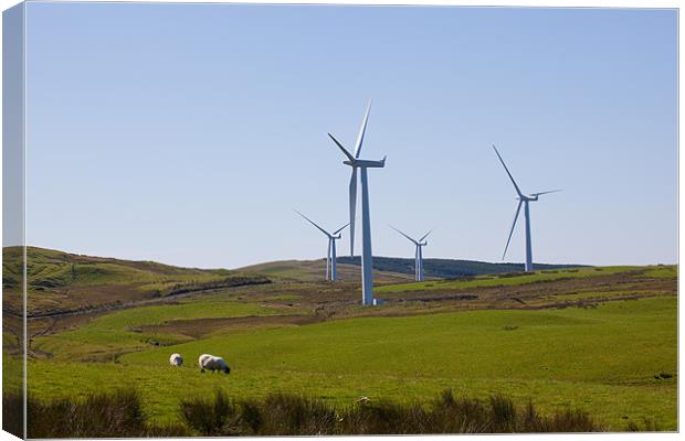 Hadyard wind farm, near Girvan, Ayrshire Canvas Print by Douglas Kerr