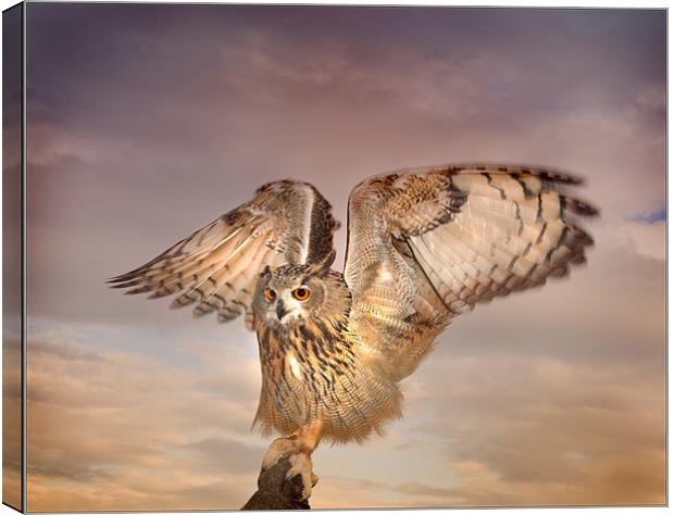 The Eagle Owl Has Landed Canvas Print by Mike Sherman Photog