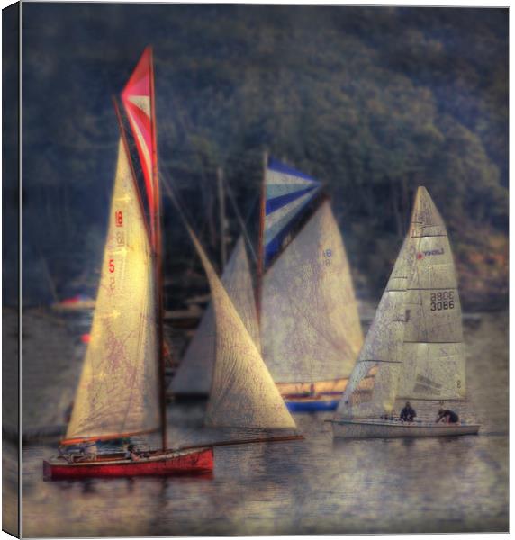 Sailing Canvas Print by Mike Sherman Photog