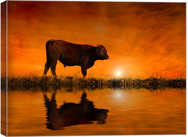 Into the Sunset Canvas Print by Mike Sherman Photog