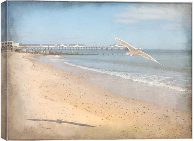 Southwold Flypast Canvas Print by Mike Sherman Photog