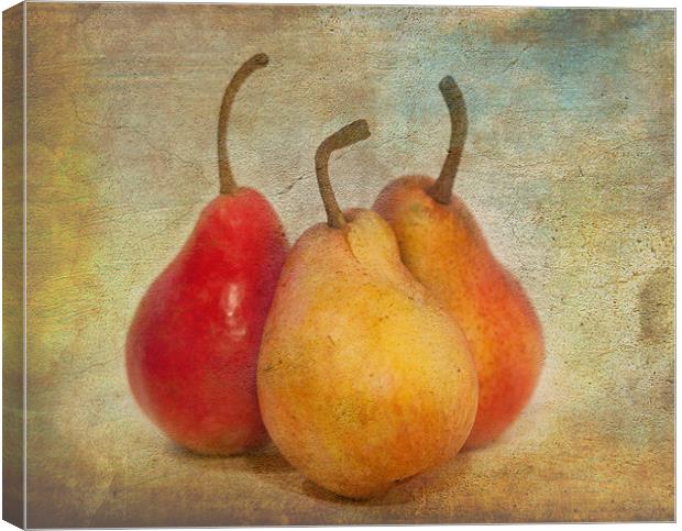 Pears Canvas Print by Mike Sherman Photog