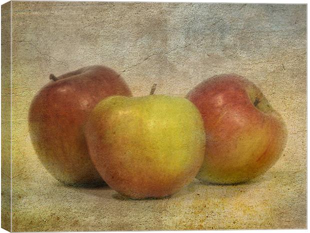 Apples Canvas Print by Mike Sherman Photog