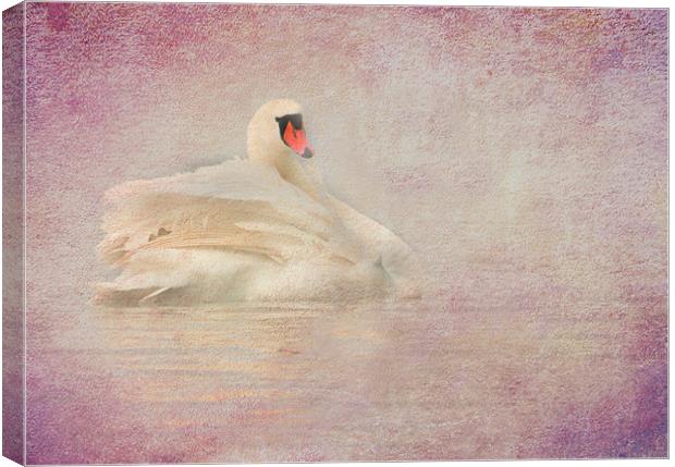 Swan Canvas Print by Mike Sherman Photog