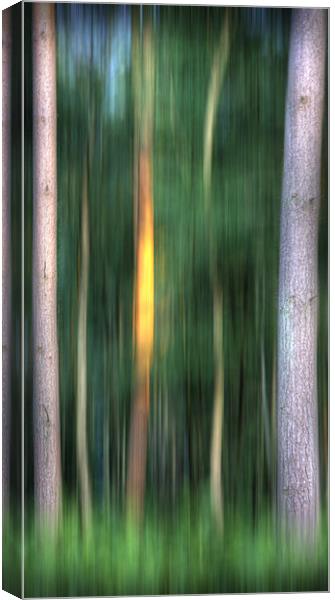 Summer Solstice Canvas Print by Mike Sherman Photog