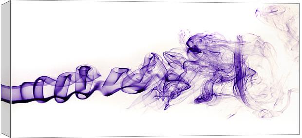 Purple Haze Canvas Print by Mike Sherman Photog