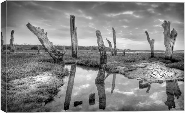 The Drowned Trees Of Thornham Canvas Print by Mike Sherman Photog