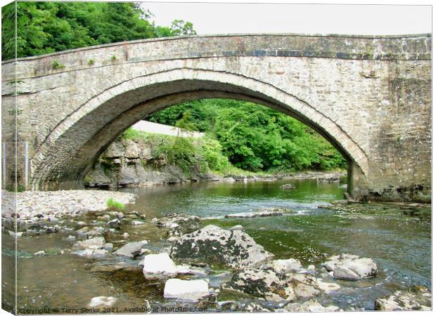 Bridge over the River Ure in the Yorkshire Dales Canvas Print by Terry Senior