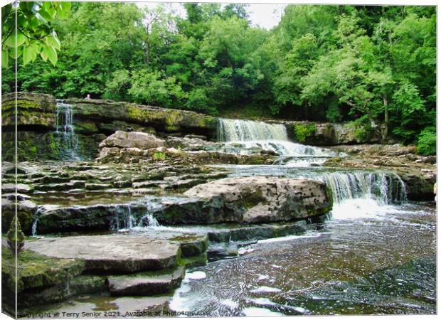 Top flight of Aysgarth Falls on the River Ure in t Canvas Print by Terry Senior