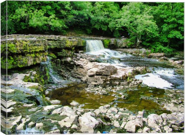 A rocky River Ure at Aysgarth Falls in the Yorkshi Canvas Print by Terry Senior