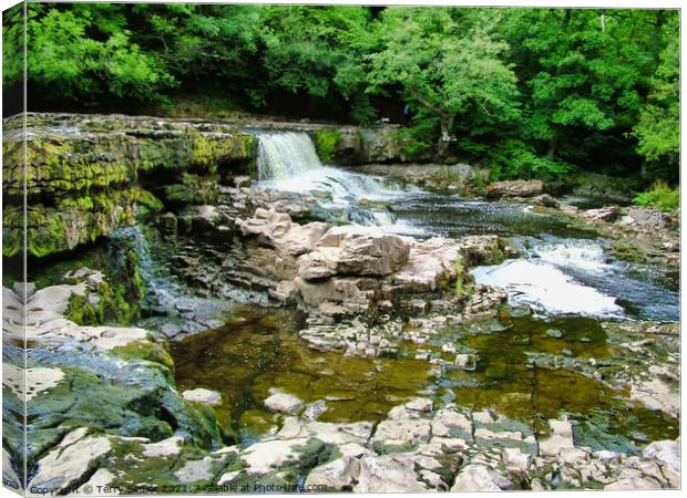 The start of Aysgarth Falls in the Yorkshire Dales Canvas Print by Terry Senior