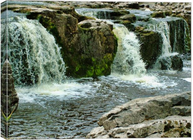 Outdoor water Canvas Print by Terry Senior