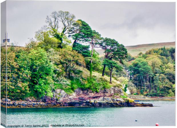 View across the bay at Portree, Isle of Skye, Scot Canvas Print by Terry Senior