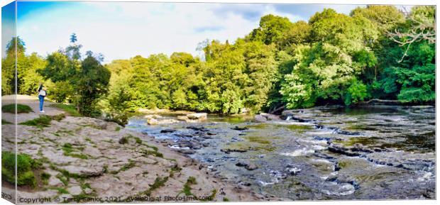 Panoramic view from the Upper Falls at Aysgarth Falls Canvas Print by Terry Senior