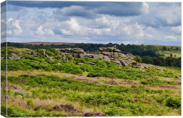 Rocky outcrop in the Derbyshire Peak District Canvas Print by Terry Senior