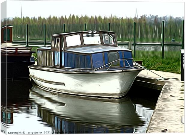 Abandoned Canal Boat  Canvas Print by Terry Senior