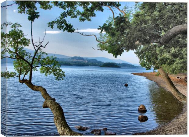 HDR image of a lake in the Lake District Cumbria  Canvas Print by Terry Senior