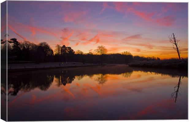 Frosty Sunrise over Coltishall Common Canvas Print by Paul Macro