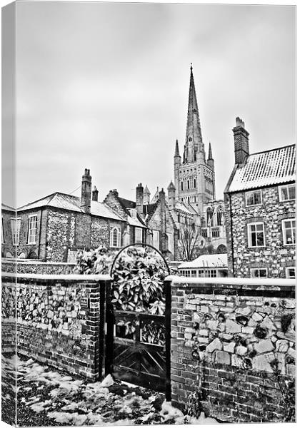 Looking Through to Norwich Cathedral Mono Canvas Print by Paul Macro
