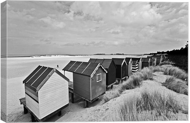 Wells Beach Huts from Behind Mono Canvas Print by Paul Macro