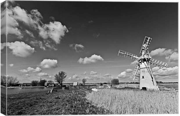 Spring at Thurne Mono Canvas Print by Paul Macro