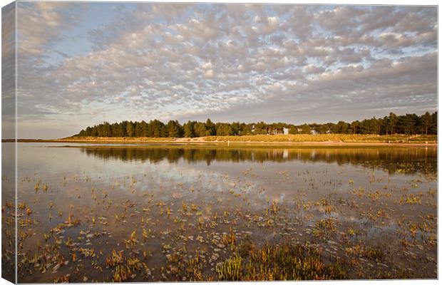 Holkham Reflections Canvas Print by Paul Macro