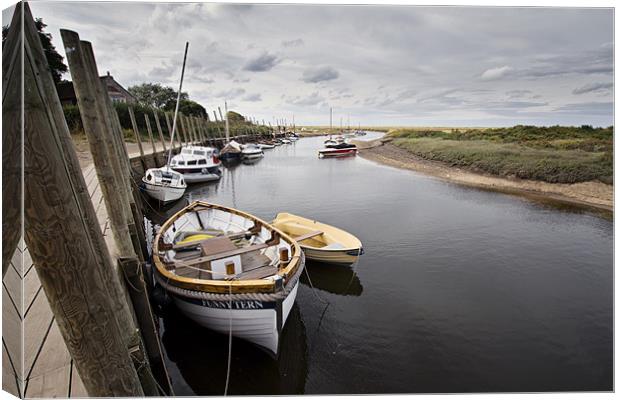 'Funny Tern' in Blakeney Harbour Canvas Print by Paul Macro