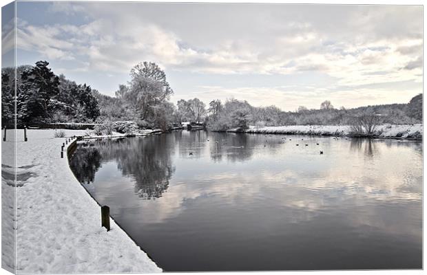 Winter on Coltishall Common Canvas Print by Paul Macro
