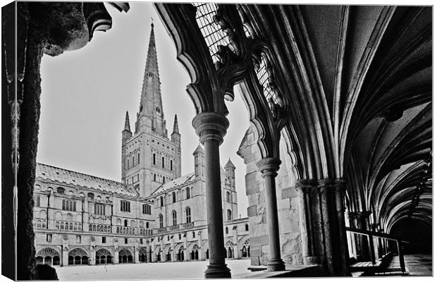 Norwich Cathedral From the Cloisters Canvas Print by Paul Macro