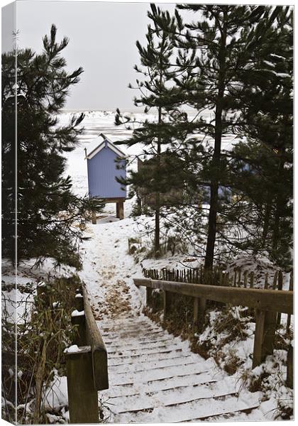 Snowy Stairs to Wells Beach Canvas Print by Paul Macro