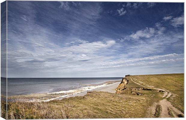 Weybourne Pathway Canvas Print by Paul Macro