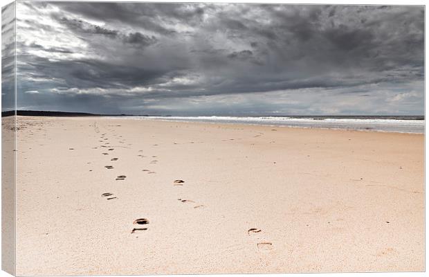 Footprints in the Sand Canvas Print by Paul Macro