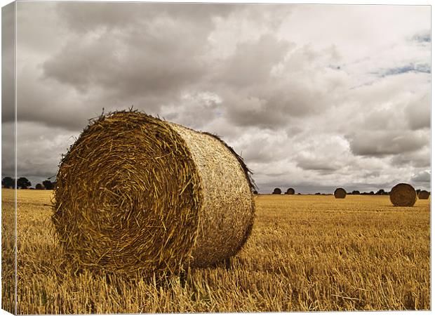 Straw Bale with stormy sky Canvas Print by Paul Macro