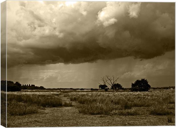Storm clouds are gathering Sepia Canvas Print by Paul Macro