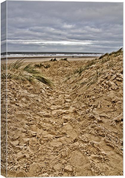 Pathway to the sea Canvas Print by Paul Macro