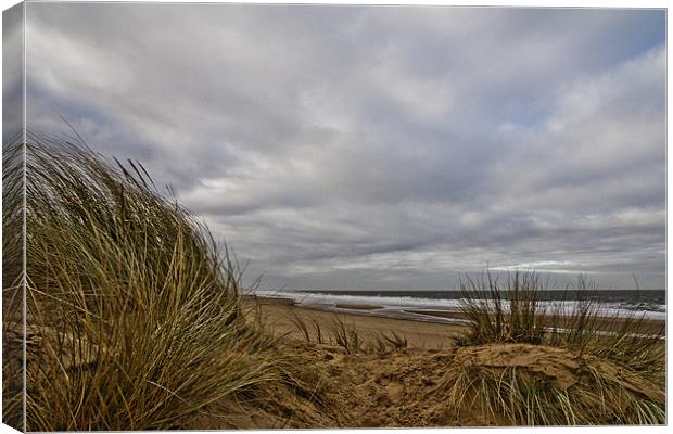 View through the Dunes Canvas Print by Paul Macro