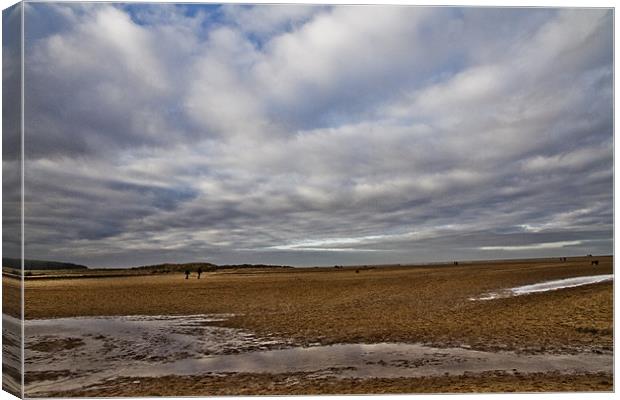 Tides out on Holkham Beach Canvas Print by Paul Macro
