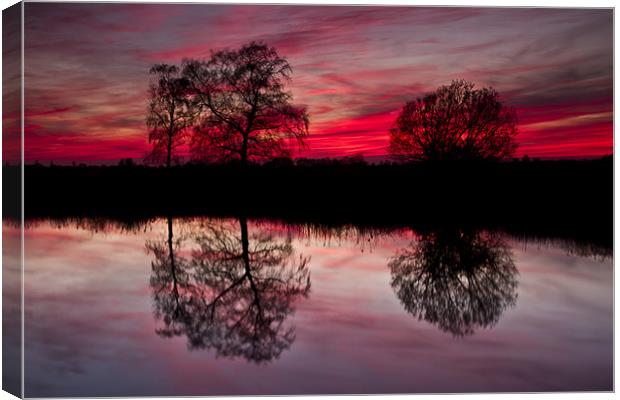 Tree Reflection at Sunset on Norfolk Broads Canvas Print by Paul Macro