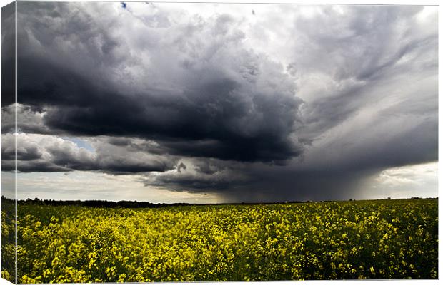 Storms over Rapeseed Canvas Print by Paul Macro